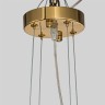 Подвесная люстра Orgel 4500-21P