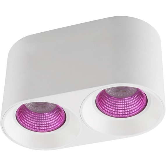 Точечный светильник  DK3096-WH+PI