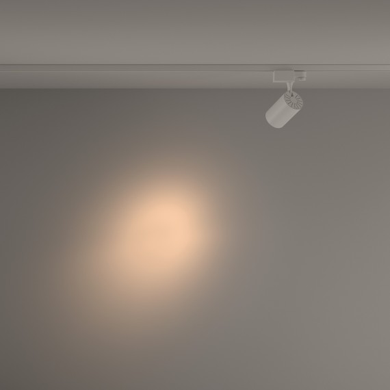 Трековый светильник трехфазный 220V светодиодный Vuoro TR029-3-10W3K-S-W