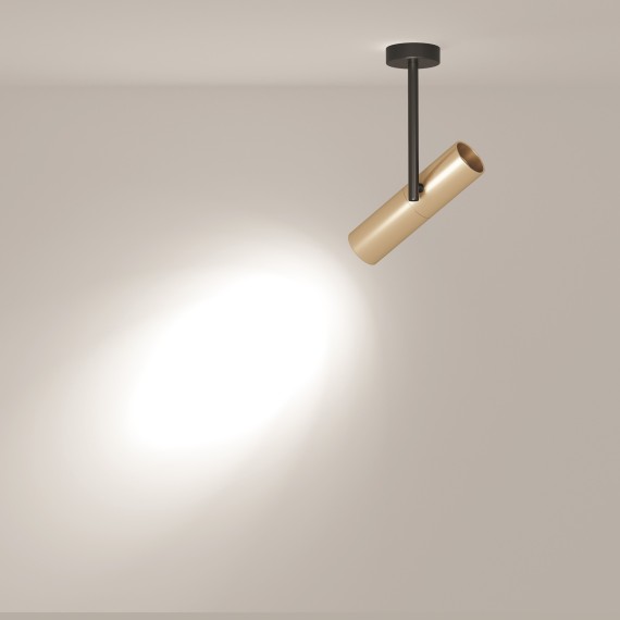 Накладной потолочный светильник Maytoni C020CL-01GB Elti под лампу 1xGU10 50W