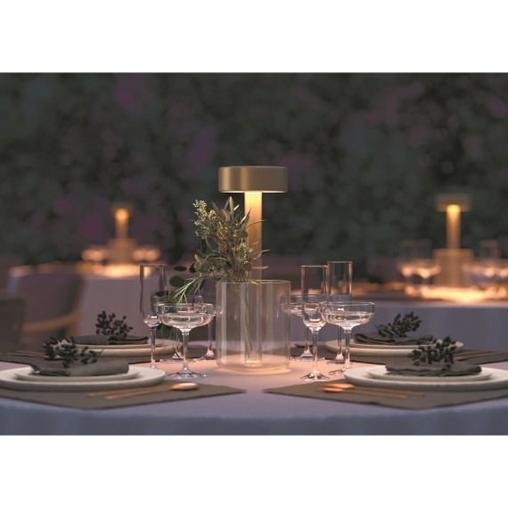 Аккумуляторный светильник Maytoni MOD229TL-L3G3K1