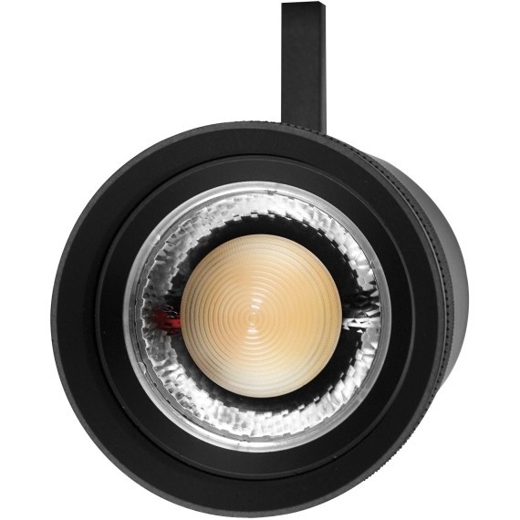 Светильник профессиональный тушка BARRA/QUATTRO высокого качества света с углом рассеивания 20-55G Canno Pro Lightstar 304407