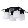 Люстра потолочная Lussole LSC-2507-04 LENTE IP21 под лампы 4xE14 160W