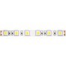 Светодиодная лента 24В 5050 14,4Вт/м 6000K 5м IP20 10170