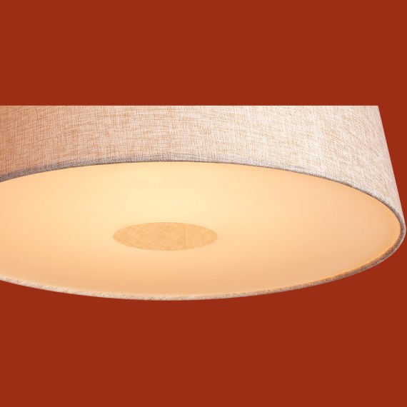 Подвесной светильник Freya FR2057PL-01BG