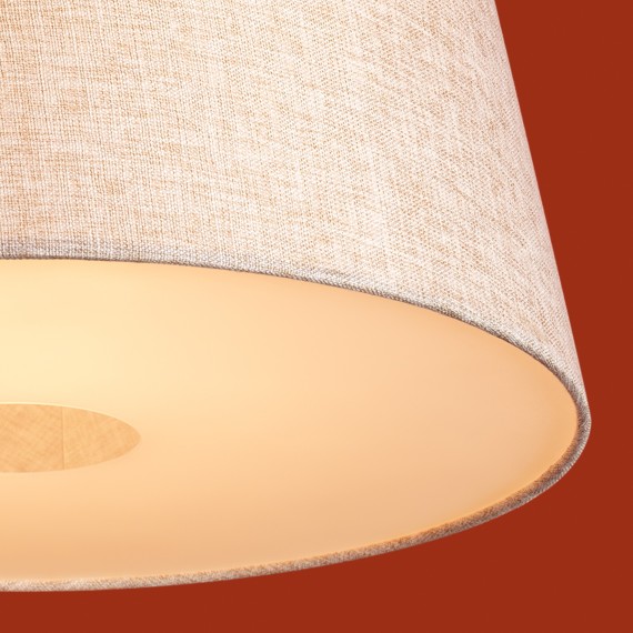 Подвесной светильник Freya FR2057PL-01BG