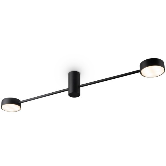 Потолочный светильник Freya FR5363CL-02B1