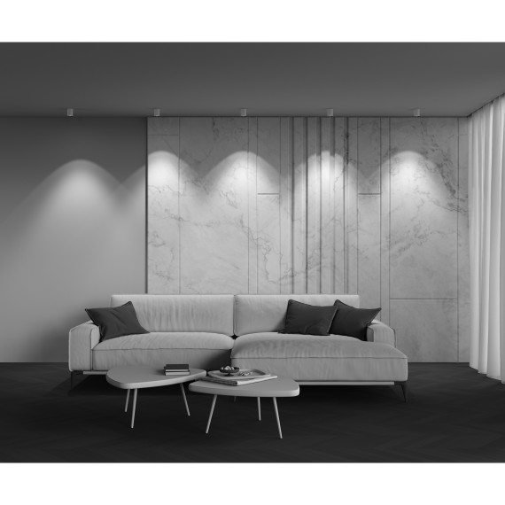 Потолочный светильник Technical C064CL-8W4K-RD-WB