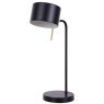 Декоративная настольная лампа Arte Lamp SEBASTIAN A7051LT-1BK