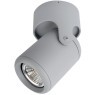 Спот Arte Lamp LIBRA A3316PL-1GY