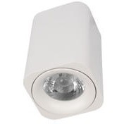 10329 White Накладной светильник LOFT IT Cup