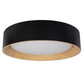 10202 Black Потолочный светильник LOFT IT Coin