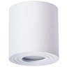 Уличный потолочный светильник Arte Lamp A1460PL-1WH GALOPIN IP44 под лампу 1xGU10 35W