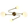 SLE2211-302-04 Светильник потолочный Латунь/Белый G9 4*5W FANTINI