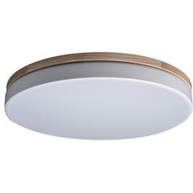 10001/36 White Потолочный светильник LOFT IT Axel