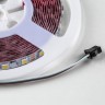 Лента светодиодная  Lightstar 400904