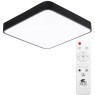 Люстра потолочная Arte Lamp A2663PL-1BK SCENA светодиодная LED 55W