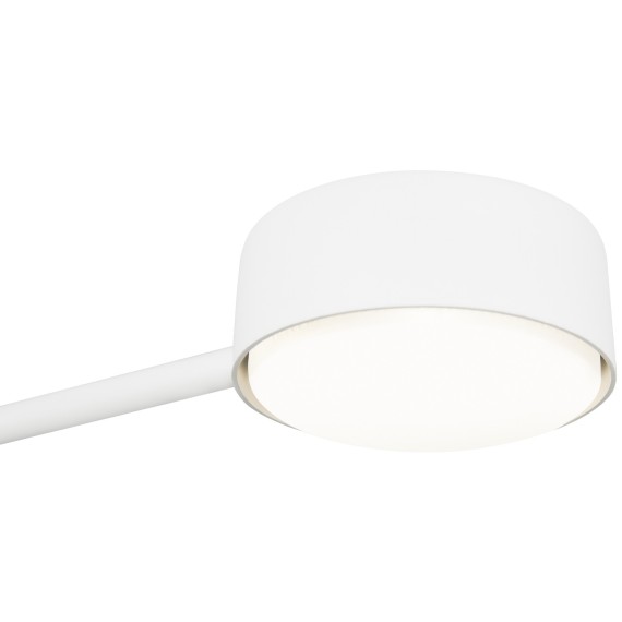 Потолочный светильник Freya FR5363CL-02W1