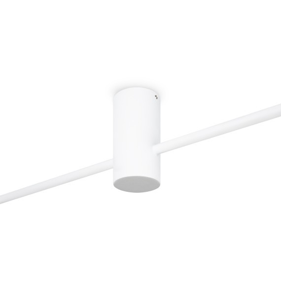 Потолочный светильник Freya FR5363CL-02W1