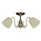 Потолочная люстра 291 OML-29117-03