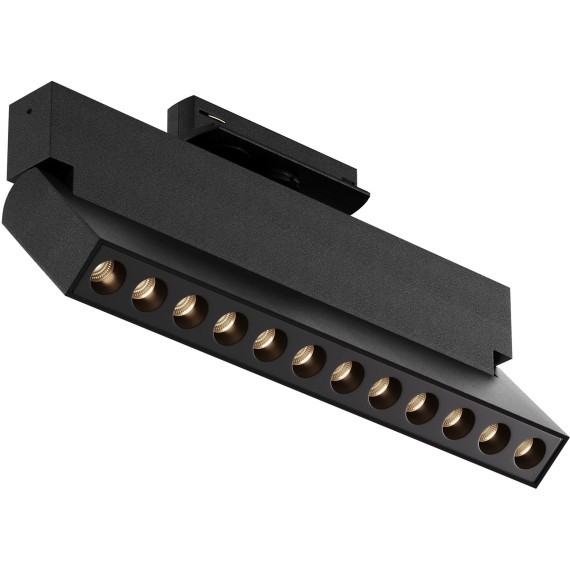 Трековый светильник Maytoni PointsTR224-1-12WCCT-M-B