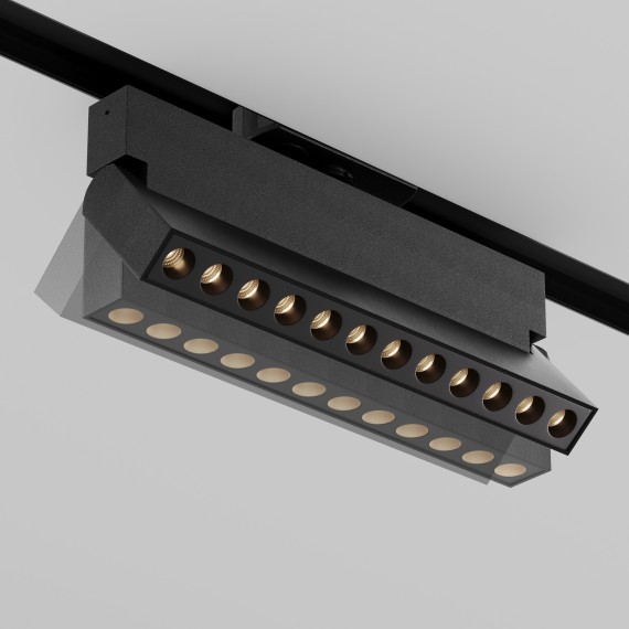 Трековый светильник Maytoni PointsTR224-1-12WCCT-M-B