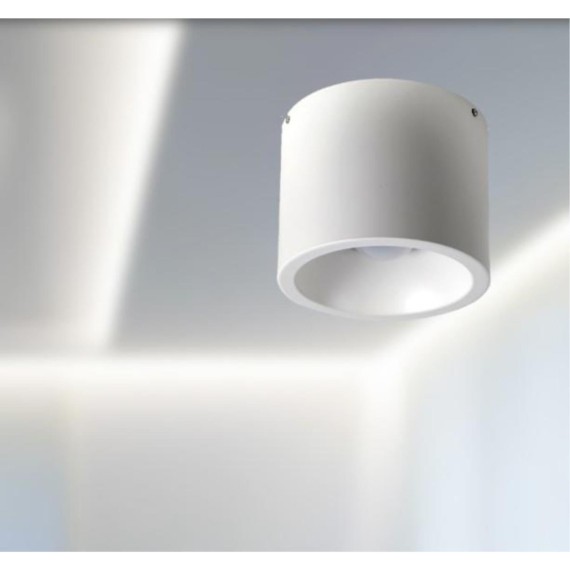 Точечный светильник Reflector 1993-1C