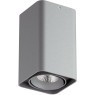 Накладной потолочный светильник Lightstar 52339 Monocco IP65 светодиодный LED 100W