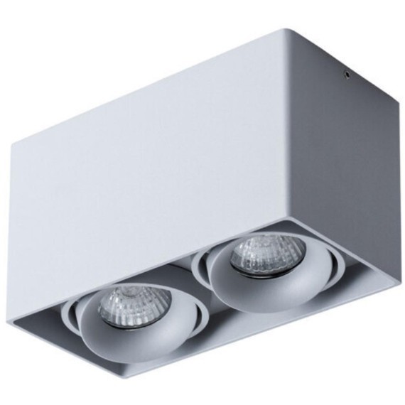 Точечный накладной светильник Arte Lamp PICTOR A5654PL-2GY