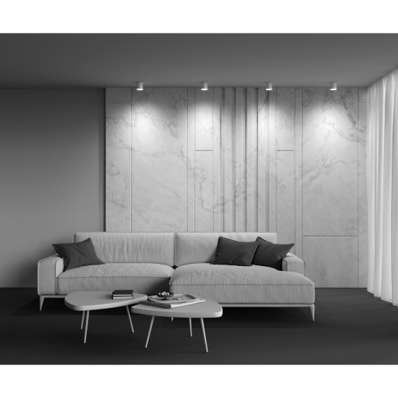 Потолочный светильник Technical C088CL-GX53-MG