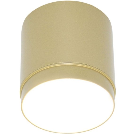 Потолочный светильник Technical C088CL-GX53-MG