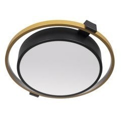 10169 Потолочный светильник LOFT IT Mike