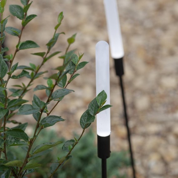 Грунтовый светильник Reedy 4048-3T