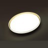 Настенно-потолочный светильник Sonex 7619/EL SAVI IP43 светодиодный LED 72W