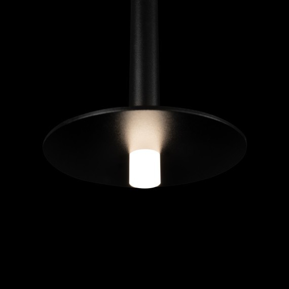 10358/830 Disk Подвесной светильник LOFT IT Reed