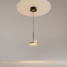 Подвесной светильник Maytoni MOD348PL-L14BBS3K
