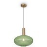 Подвесной светильник с 1 плафоном Freya FR8012PL-01GN Zelma под лампу 1xE27 40W