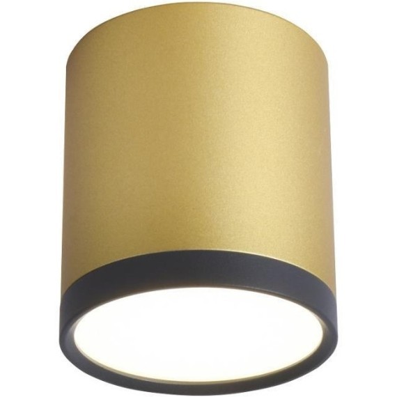 Точечный светильник Baral 3082-1C