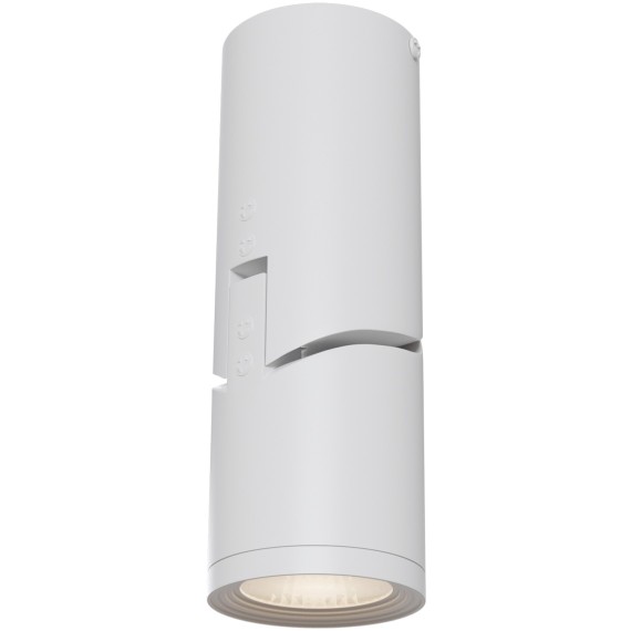 Потолочный светильник Technical C019CW-01W