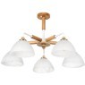 Потолочная люстра Arte Lamp MATTHEW A5032PL-5BR