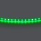 Лента цветного свечения 24V, зеленый Lightstar Lightstar 420514