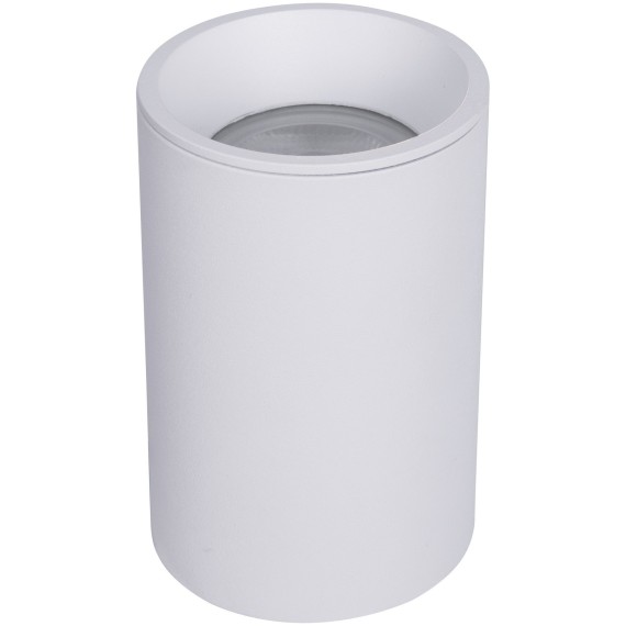 Потолочный светильник Technical C029CL-01-S-W