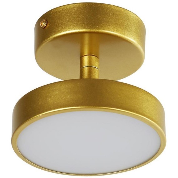 Потолочный светильник Atma 3059-1P