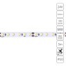 A2412008-03-6K Светодиодная лента 24В 9,6Вт/м 1000Лм/м 6000К CRI 90+ 8мм SMD2835 120шт/м 5м IP20