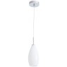 Подвесной светильник с 1 плафоном Arte Lamp A4282SP-1CC BICCHIERE под лампу 1xE14 40W