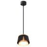 Подвесной светильник Arte Lamp AMAKS A8028SP-1BK