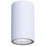 Фасадный светильник Arte Lamp MISTERO A3302PF-1WH