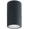 Фасадный светильник Arte Lamp MISTERO A3302PF-1GY