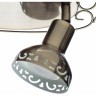 Спот Arte Lamp FOCUS A5219AP-2AB