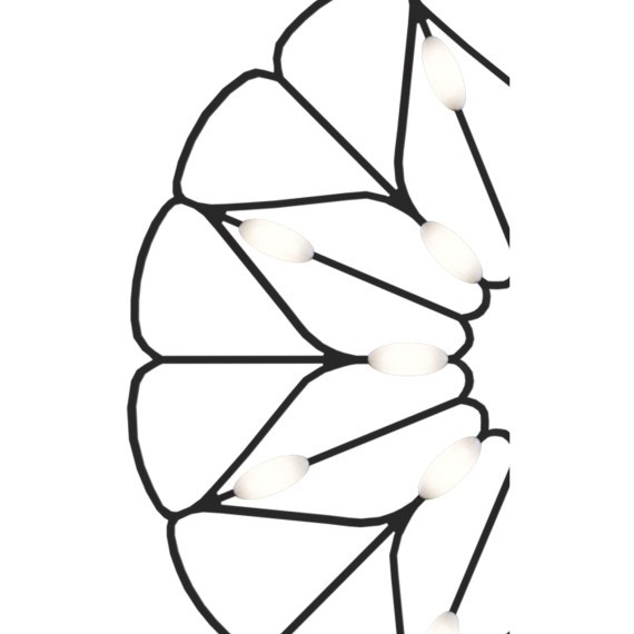 Подвесной светильник Maytoni MOD037PL-L16B